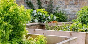 Make a cheap DIY raised bed for growing your own