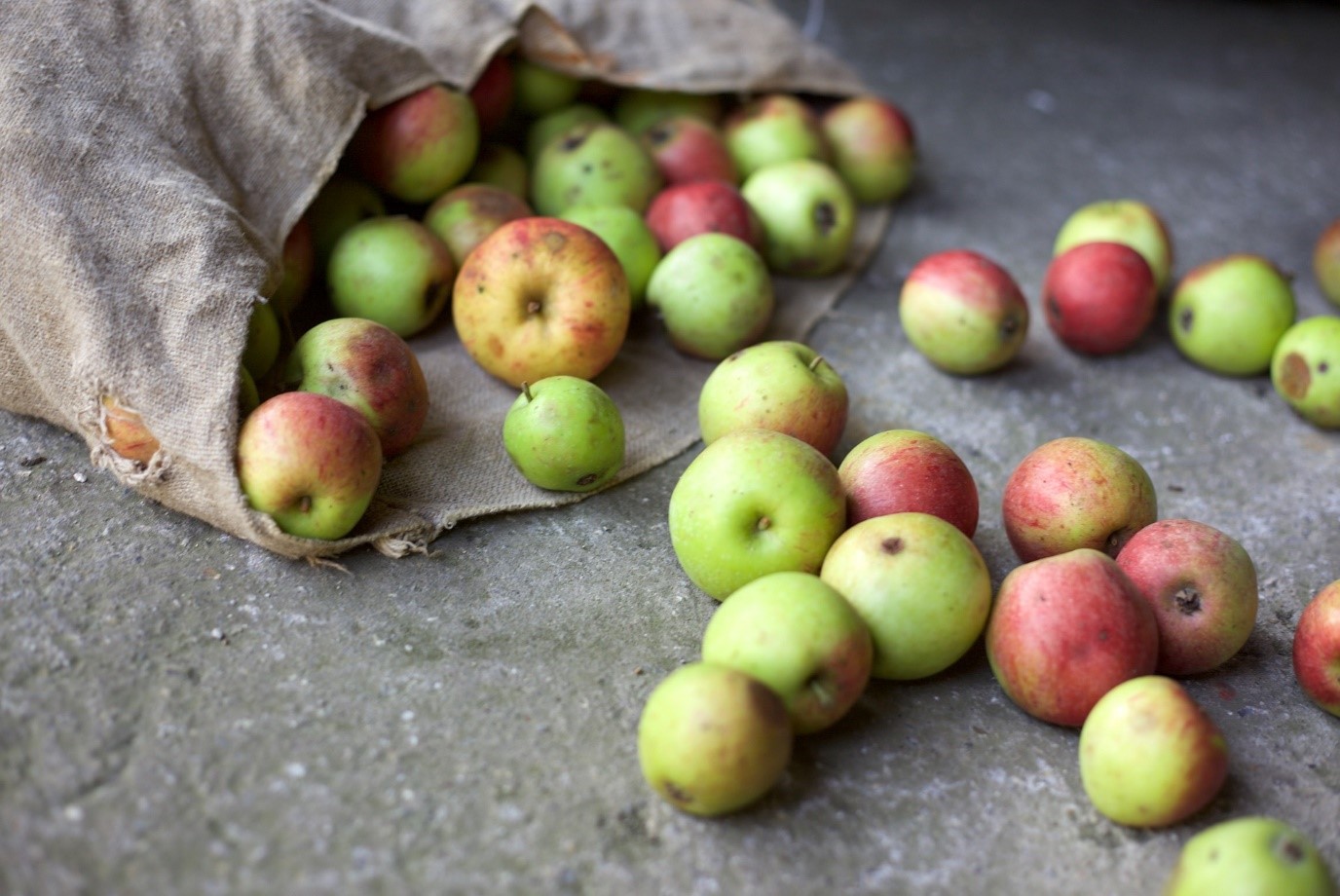 Food waste: The world’s biggest environmental challenge?