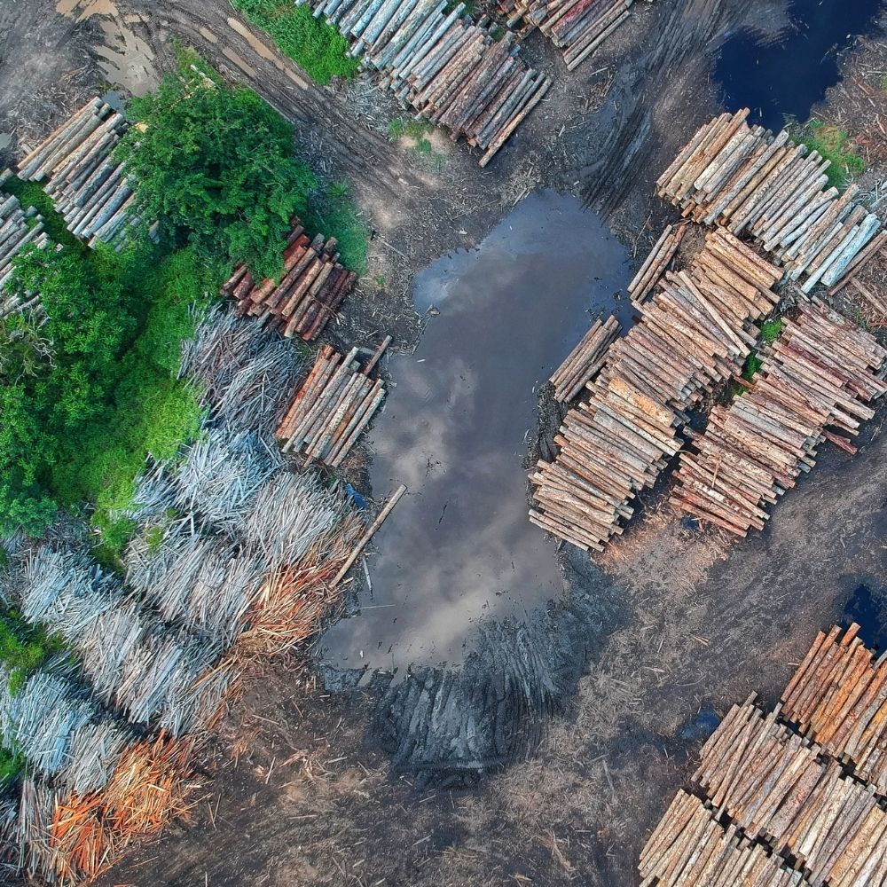 A birds eye view of deforestation in progress