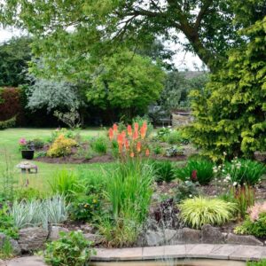 Your water saving garden design guide