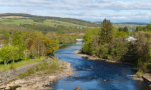 Are UK rivers healthy?