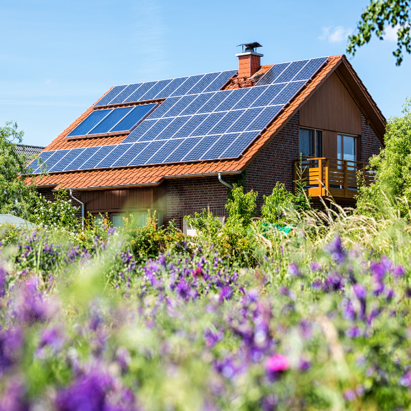 Photo inspiration: Visual Reference: Retrofitting To Save Your Home And The Planet